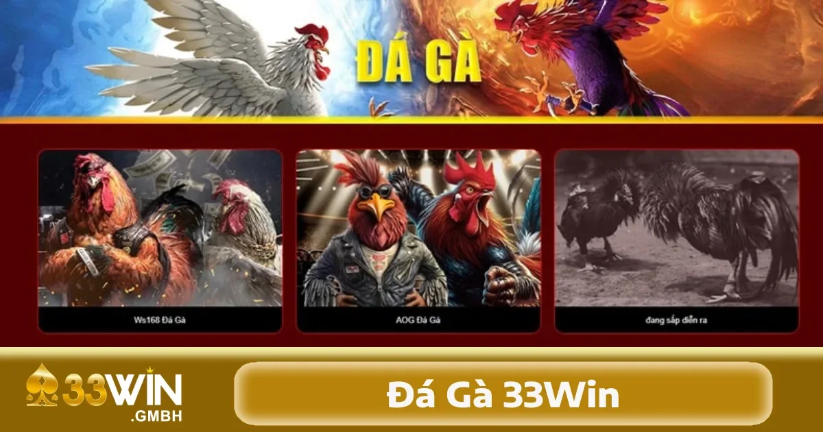 Đá Gà 33Win 2 Những điểm mạnh của đá gà 33Win